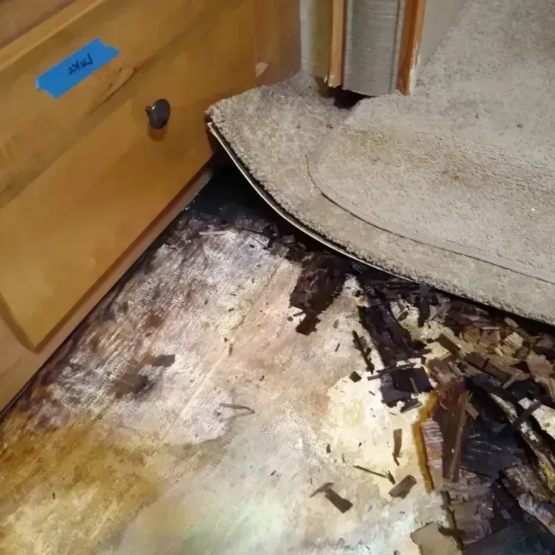 Best Wood Floor Water Damage Service in Covington, OH